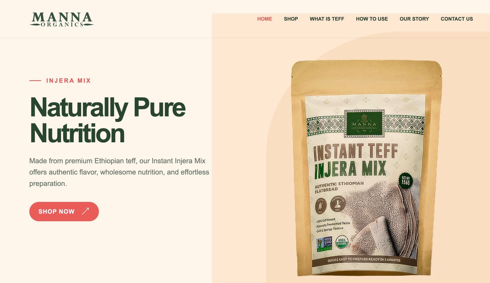 Instant Injera website showcase